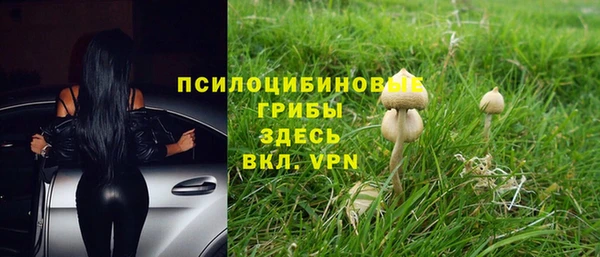 spice Волосово