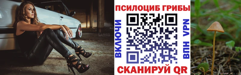 Купить где Бобров Псилоцибиновые грибы ЛСД